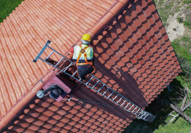 Best Roof Moss and Algae Removal  in Kaufman, TX